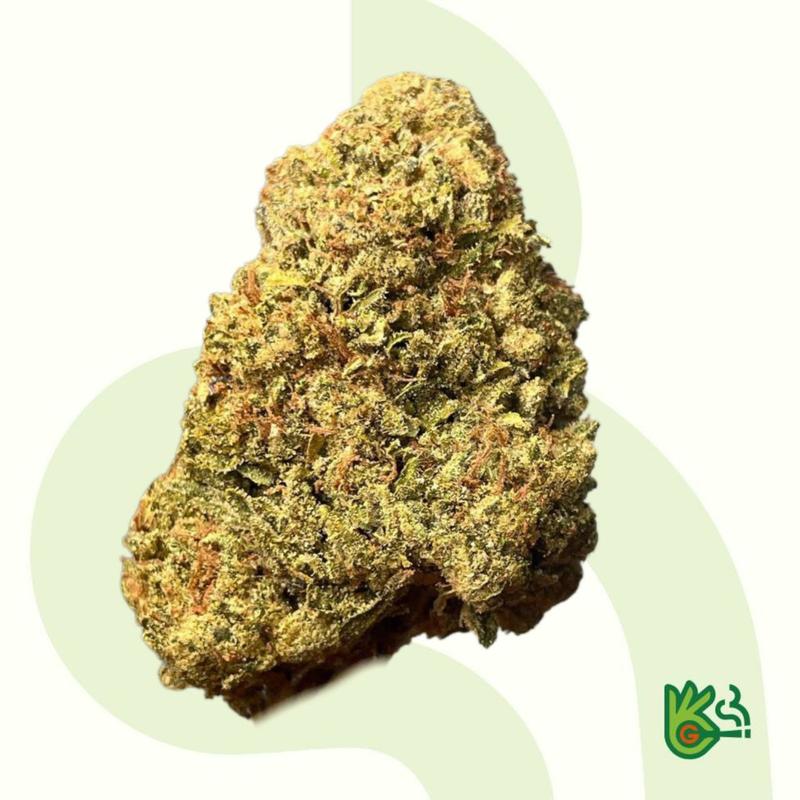 Gumbo *Spedizione Gratuita*