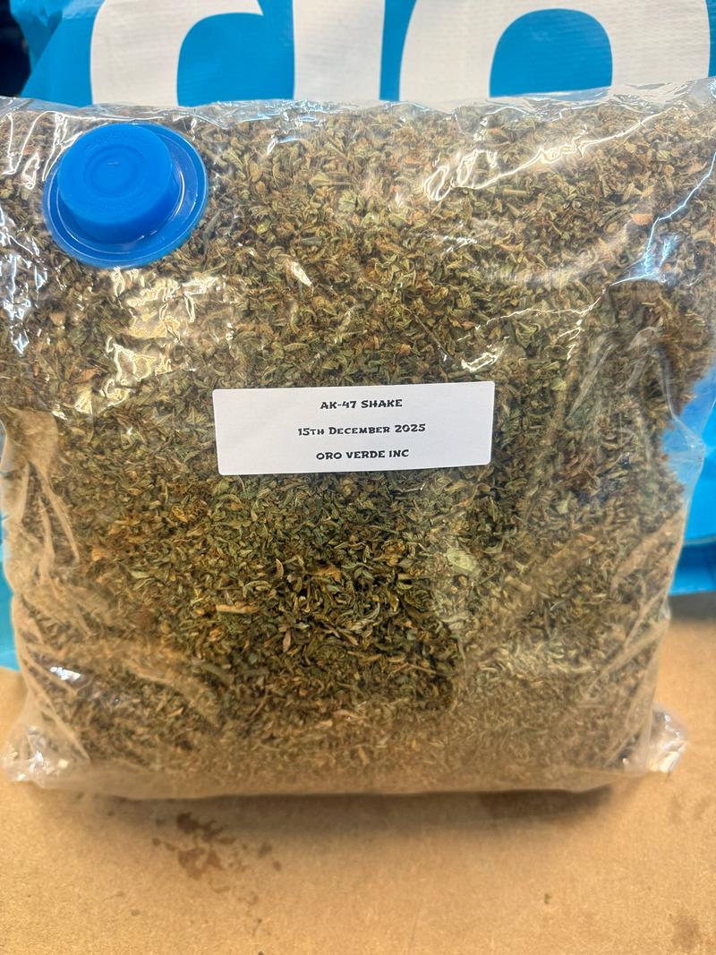 Popcorn buds / shake 🇬🇧 image