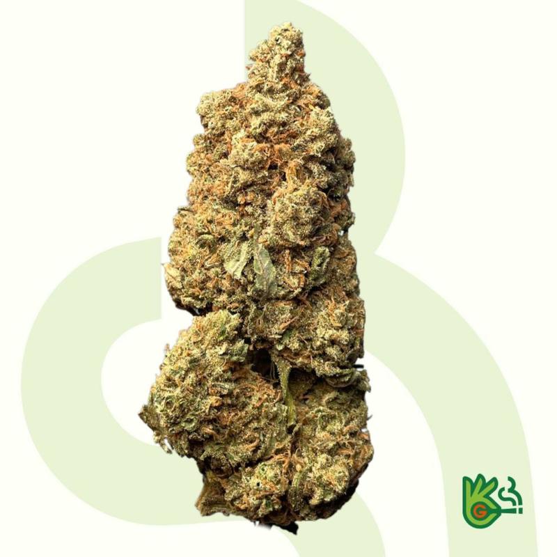 Super Silver Haze *Free Shipping* image