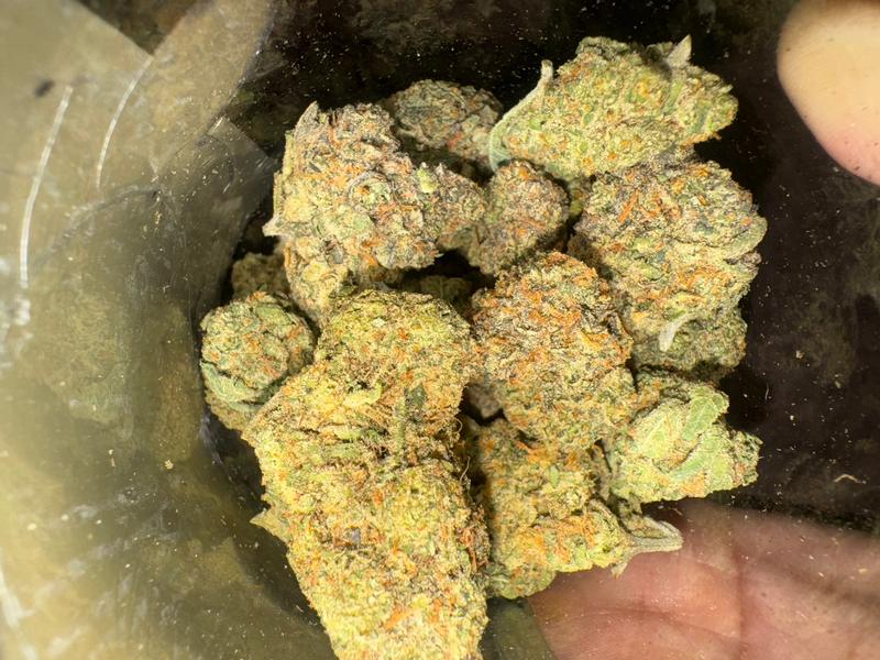 RS11 (Spedito dalla Spagna)