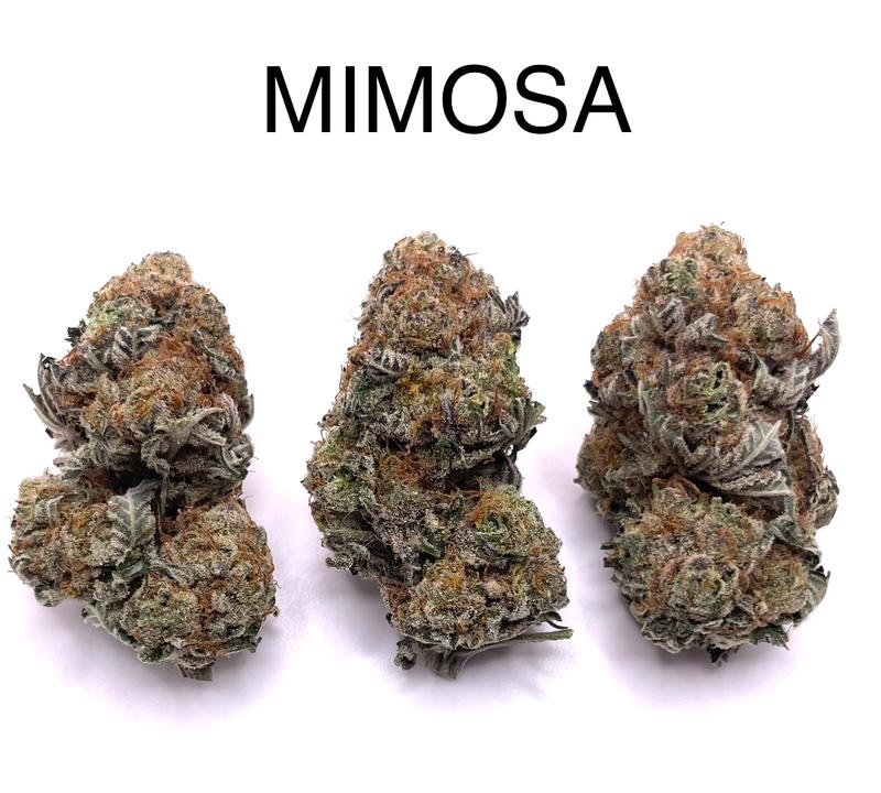 MIMOSA image