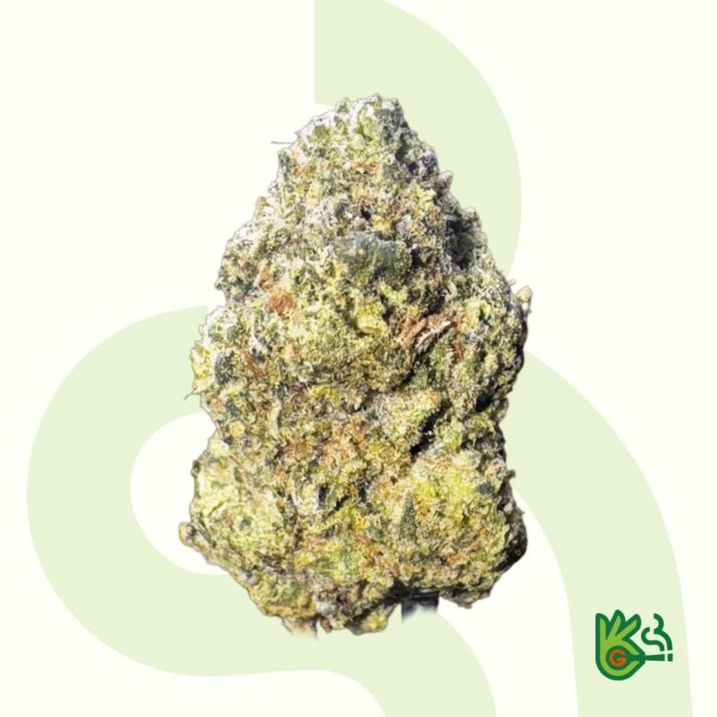 Press OG *Spedizione gratuita*