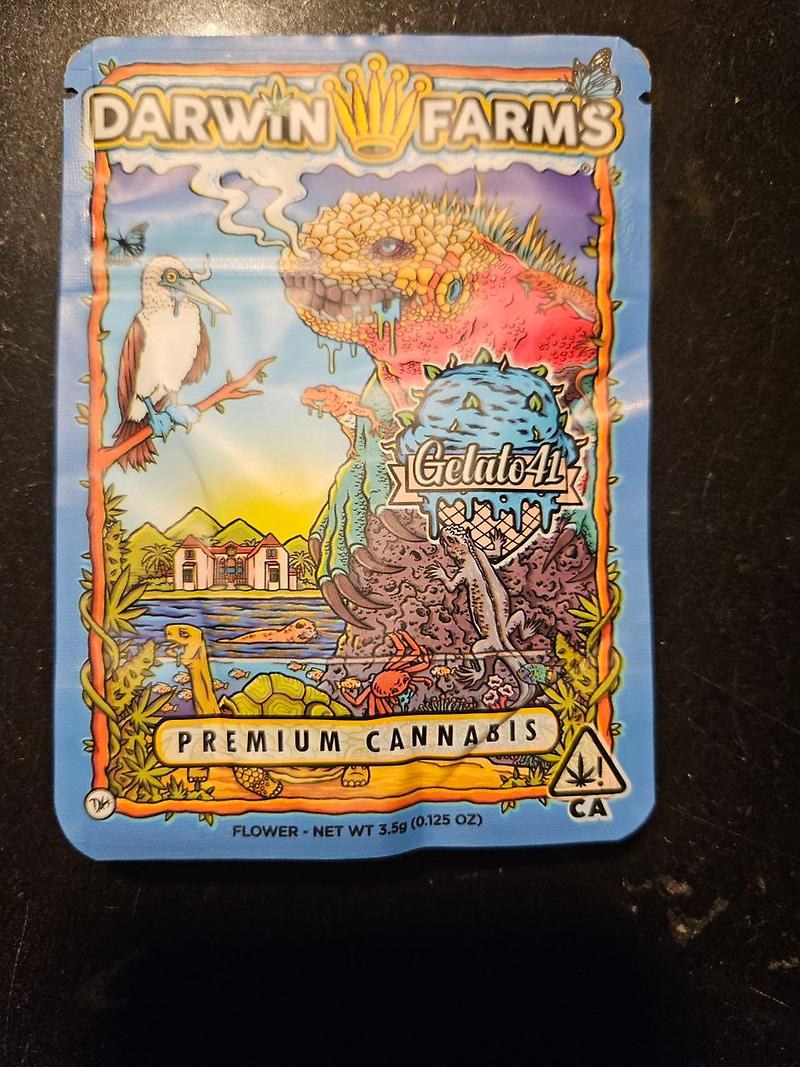 Darwin Farms - Gelato 41 image