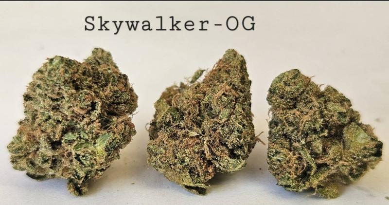 Make an oz for £160! ( Free T24 ) image