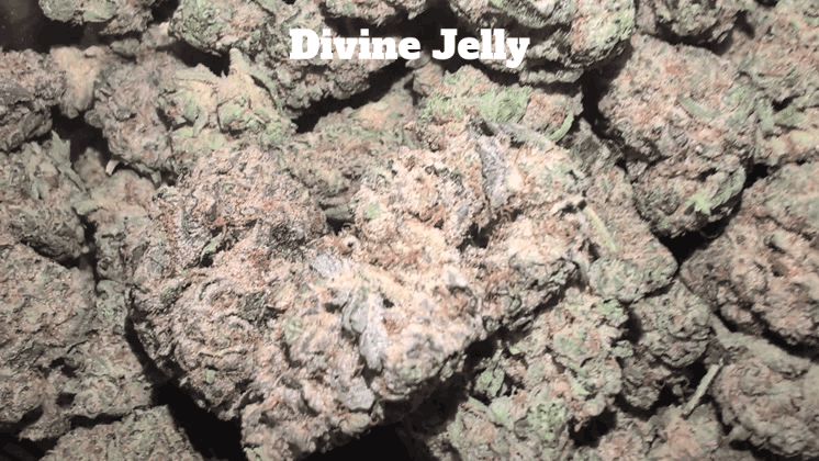 Top Shelf Exotics - Imported Loose Flower image