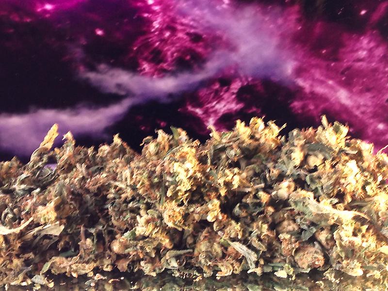 YOUR NATURAL SHAKE VARIETIES image