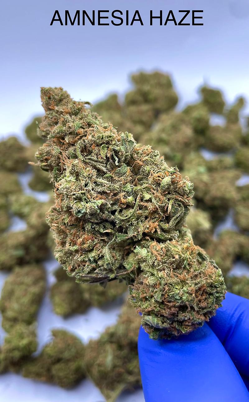 AMNESIA HAZE image
