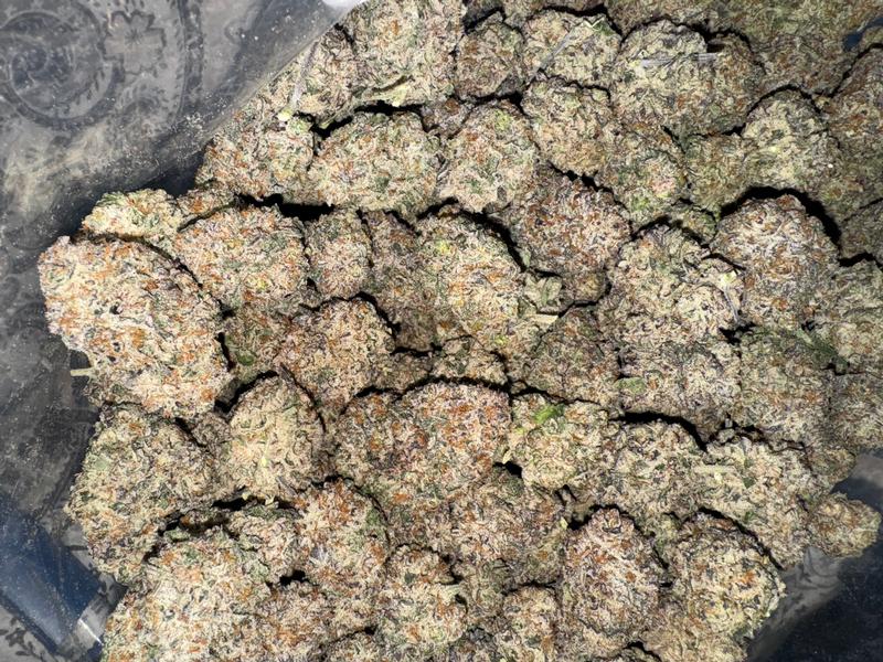 White Runtz (Spedito dalla Spagna)