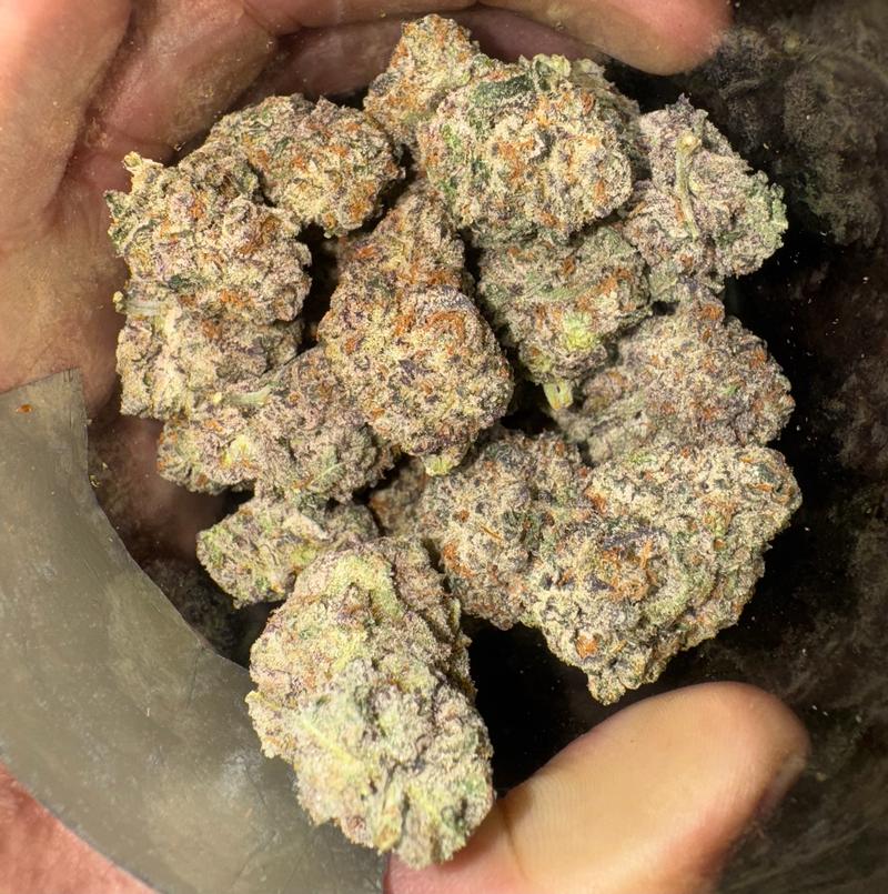 La Bomba (Spedita dalla Spagna)