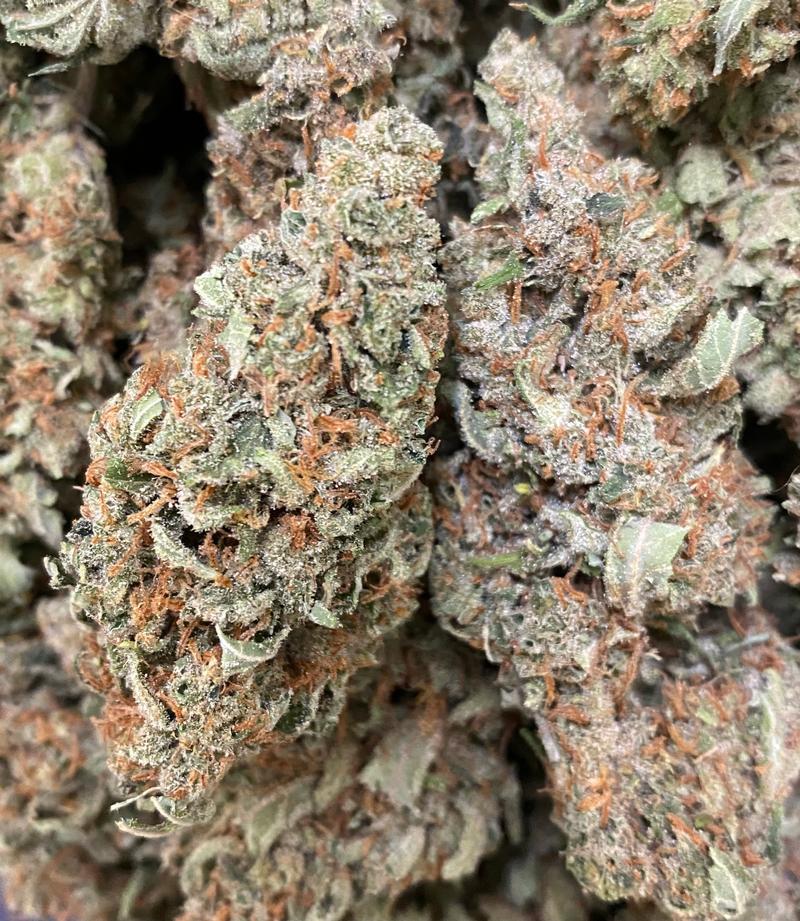 Original Super Silver Haze - S1 - 100% Sativa image