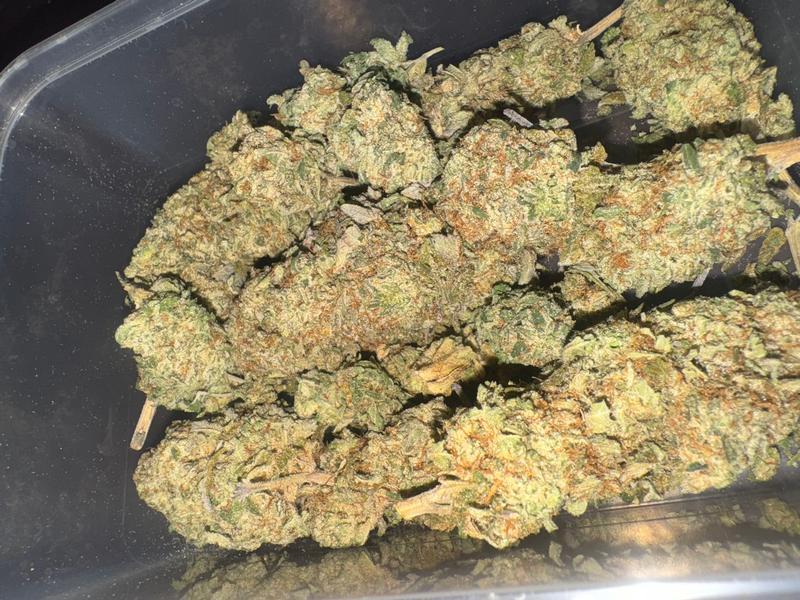 Torta di ciliegie (spedita dalla Spagna)