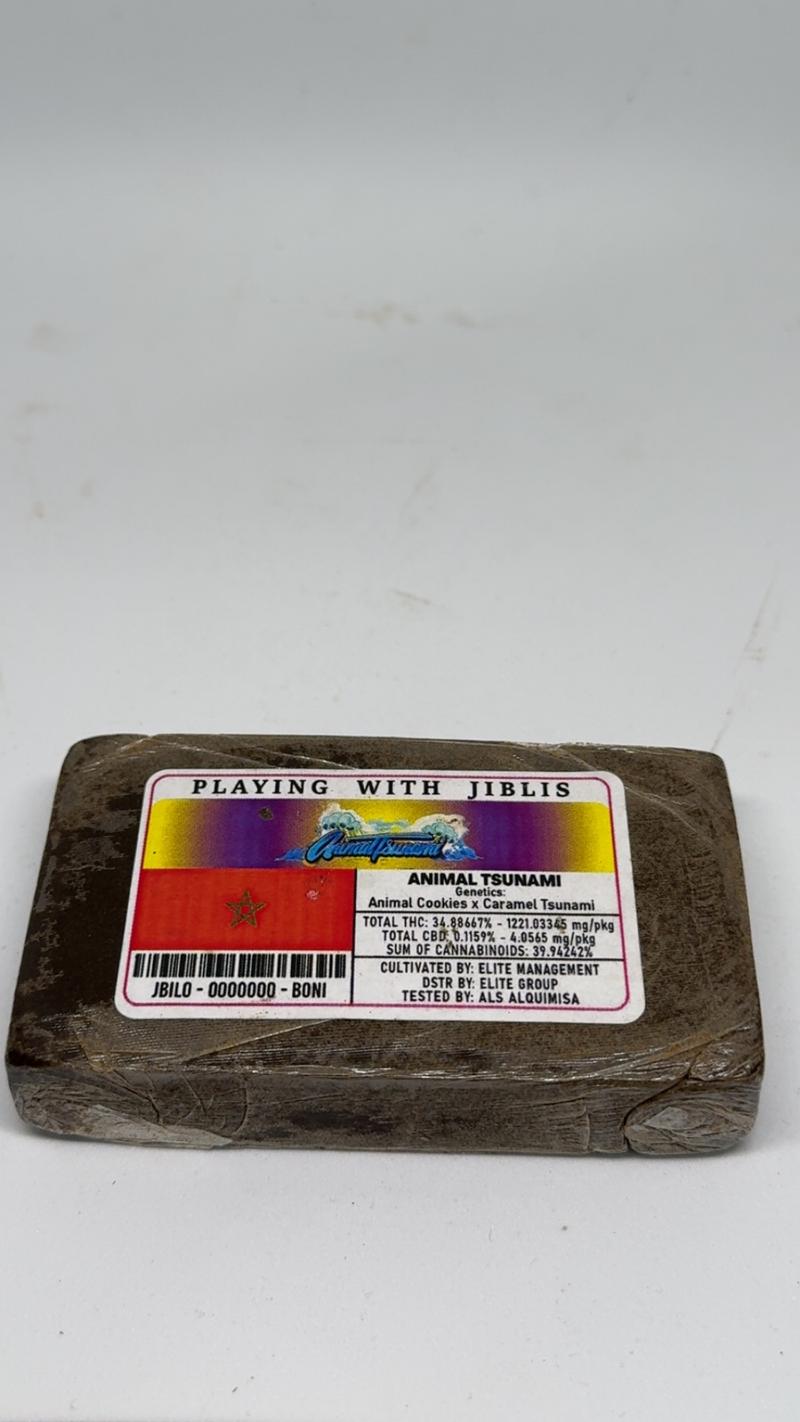 Animal Tsunami Hash image