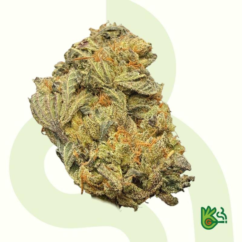 Biscotti alieni * Gratis