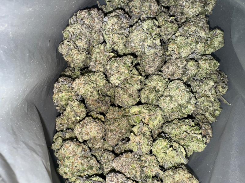 Purple Gelato (Spedito dalla Spagna)