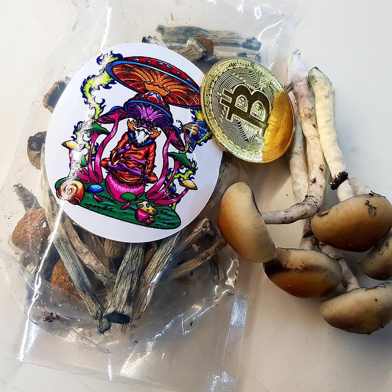 Funghi Magici Koh Samui