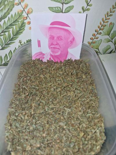 Popcorn buds / shake 🇬🇧