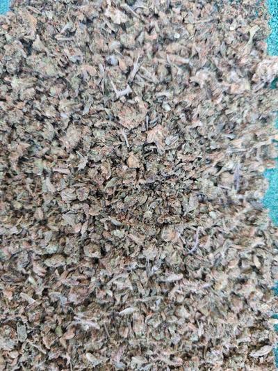 ***DUSTSHAKE 2021***FREE 1st CLASS RM DELIVERY***