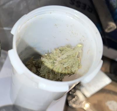 Organic Blue Shark CBD