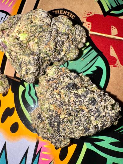 ZANBANGER (TOP SHELF)