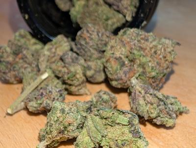 Exclusive Blue Nerds