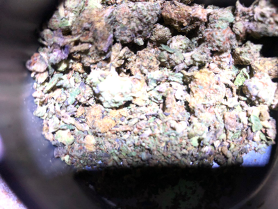 TGT Divine Pick n Mix Shake *Free Shipping*