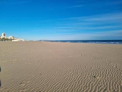 Mini Shroom Bars 2.5g each