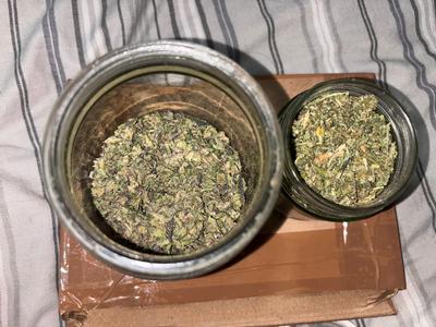 CALI TRIM SHAKE TROPICALLY NERDS