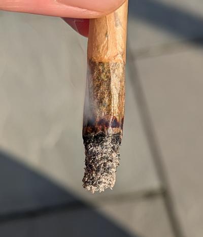 Fine Quality Stardawg