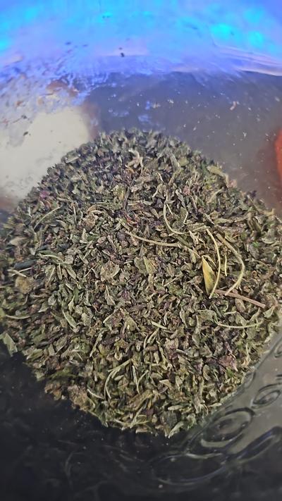 YOUR NATURAL SHAKE VARIETIES