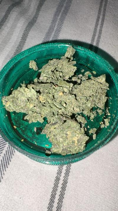 Tip Jar - Shipping for freebies