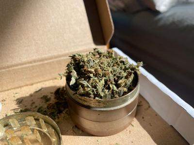 Popcorn buds / shake 🇬🇧