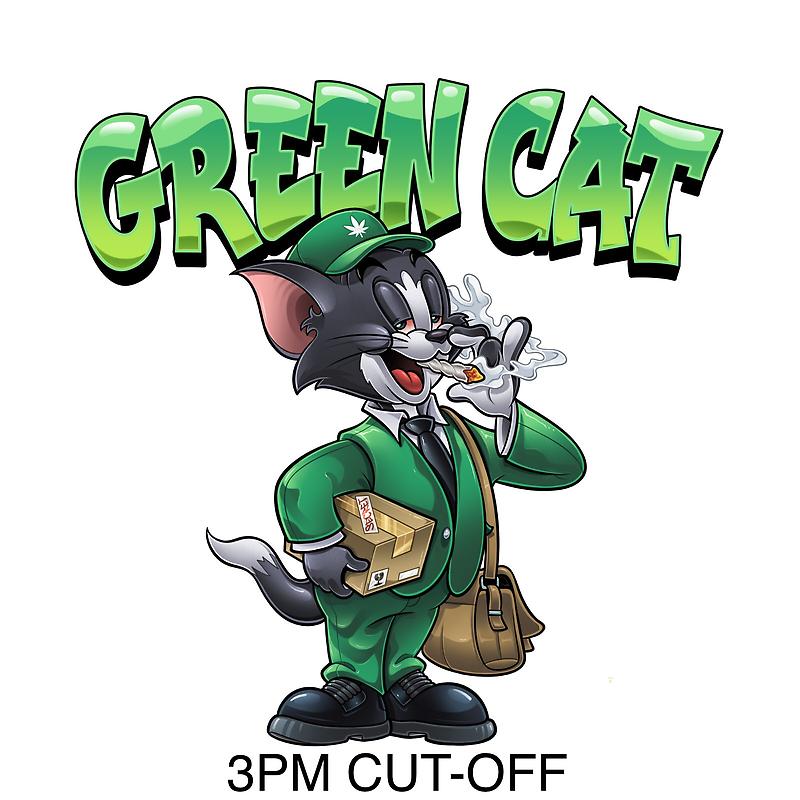Green Cat avatar