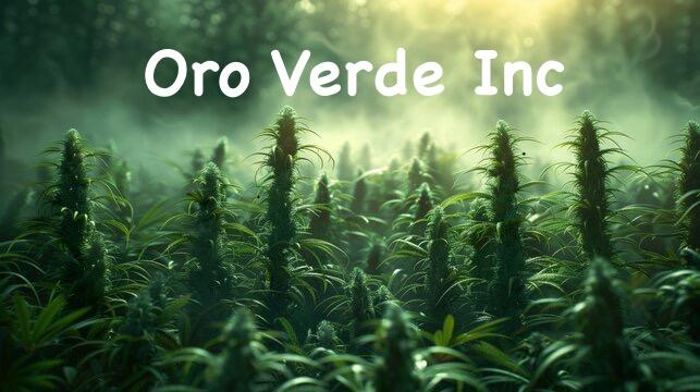 Oro Verde Inc avatar