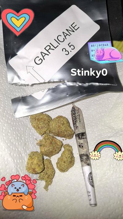 Garlicane *Free Shipping*