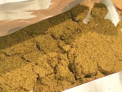 Sherbet Cali Gold Mousse Hash