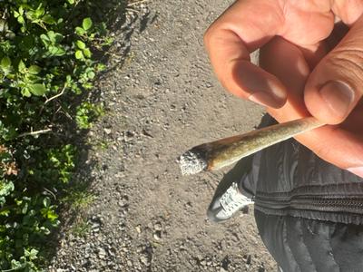 [Exclusive] Top Shelf UK