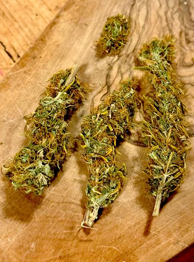 Organic Golden Tiger