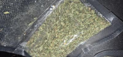 YOUR NATURAL SHAKE VARIETIES