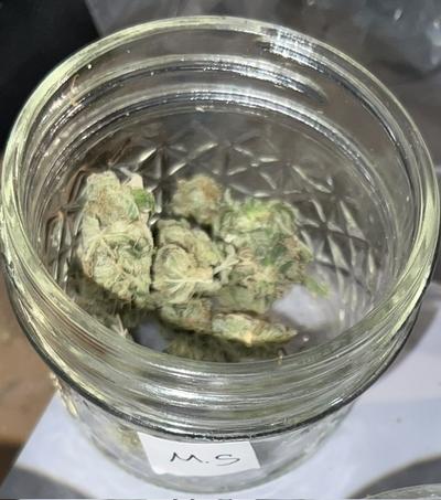 Organic Mexican Sativa