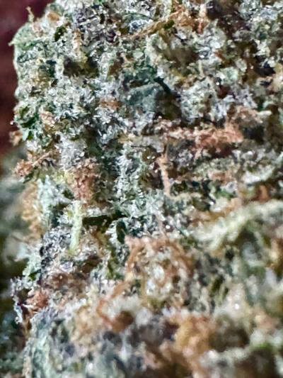 [Exclusive] Top Shelf UK