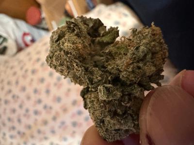 Organic Banana Jealousy