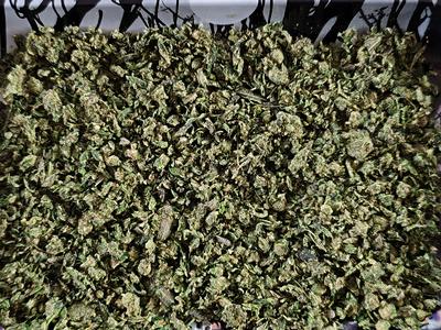 CALI TRIM SHAKE TROPICALLY NERDS