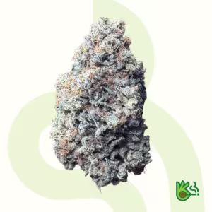 Alien Dawg *Free Shipping*