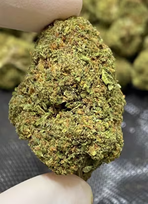 Candy Runtz Sweetest Smelling Dank - Candy Explosion