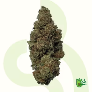 French Zkittlez *Free Shipping*