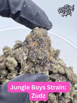 Jungle Boys Strain: Zudz