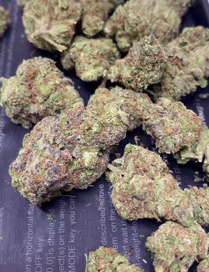 Bolo Runtz Indica (Biscotti X Sherbcake)