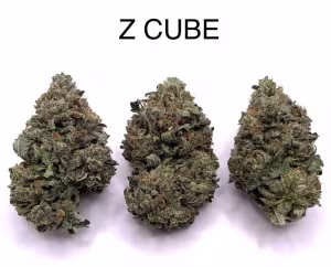 Z CUBE