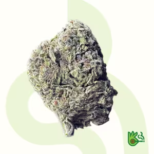 Yuzu Sour * Free Shipping*