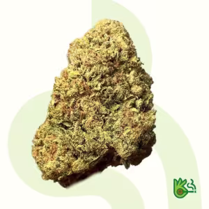 Gumbo *Free Shipping*